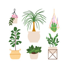 Urban jungle illustration, trendy home decor with hoya, palm, airplant, fiddle leaf fig, nerve, zz plant, tropical leaves in stylish planters and pots.