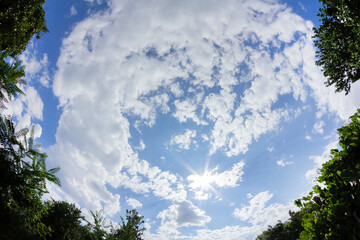 Obraz premium Fish eye nature photo of sunny day fluffy clouds with trees on blue sky backdrop.