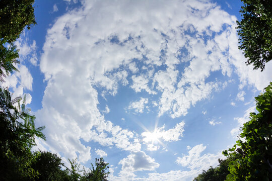Fish eye nature photo of sunny day fluffy clouds with trees on blue sky backdrop.
