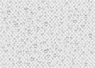 Set water rain drops, pure droplets condensed on transparent background. Realistic vector illustration bubbles on window glass. Design for poster, banner, concept