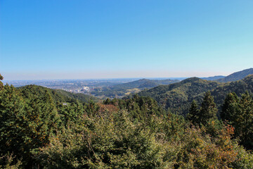 山頂からの景色