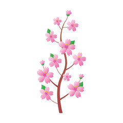 Beautiful small spring sakura cherry tree branch with blooming flowers isolated flat vector illustration