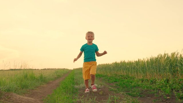 Happy child, boy runs raising her hands like flyer in green grass. Happy little boy dreams of flying in nature. Children's fantasies. Child running through field of wheat at sunset. Happy family.