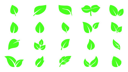 Green leaf icon set. Green color icon logo leaves. ecology leaves symbol. Ecology. EPS 10 vector illustration.