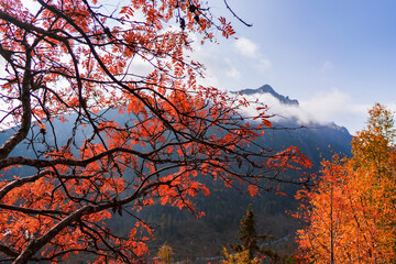 natural colors of autumn in the mountains. Warm beautiful red autumn and mountains