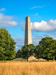Obraz premium Wellington monument in Phoenix Park, the famous landmark in Dublin, Ireland capital