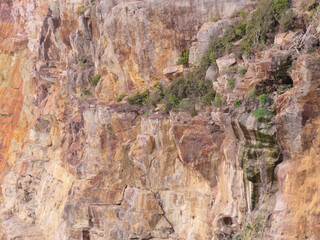 grand canyon state