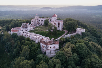 Fototapeta na wymiar castle in Tenczyn in the south of Poland