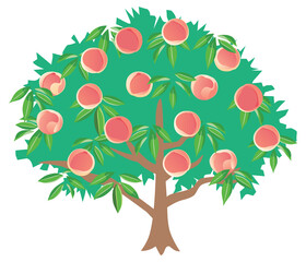 桃の木のイラスト