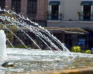 fuente