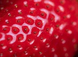 macro close up of fresh red strawberries in a group