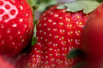 macro close up of fresh red strawberries in a group