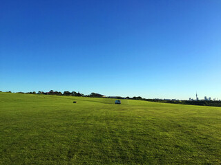 field and blue sky