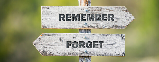 opposite signs on wooden signpost with the text quote remember forget engraved. Web banner format.