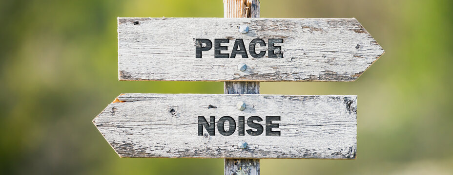 opposite signs on wooden signpost with the text quote peace noise engraved. Web banner format.