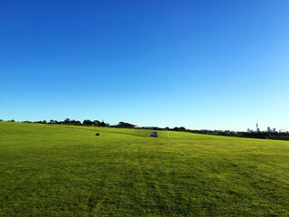 field and blue sky
