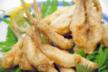Ready to eat Big-eyed flat-head and Japanese whiting Tempura, surved with lemon dish, close up photography.　揚げたてのシロギスとメゴチの天ぷら。レモンを添えた接写写真。