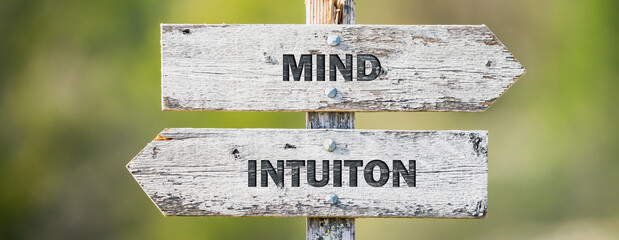 opposite signs on wooden signpost with the text quote mind intuition engraved. Web banner format.