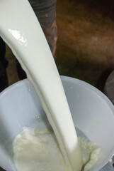 Fototapeta na wymiar pouring fresh milk through a sieve to fill the pitcher
