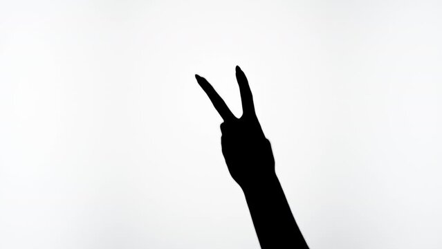 Woman showing peace gesture with fingers isolated on white background. Female person making shadow silhouette with hand close-up.