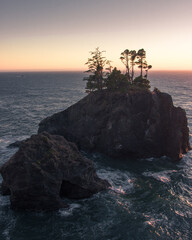Sunset on natural bridges along the west coast of the Pacific Ocean, Oregon during the golden hour sunset - the sun's rays through the trees with dense vegetation. Beautiful seascape with rocks.