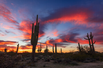 Colorful Arizona desert sunset