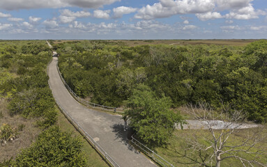 Everglades National Park biking trail goes through the park. Areal view from the observation tower.
