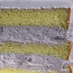 Abstract Closeup Texture of Cake Cross Section