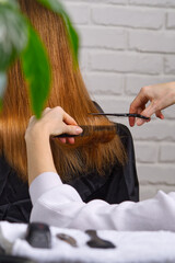 Woman hair care. Hairdresser making hairstyle to young girl in kid beauty salon.