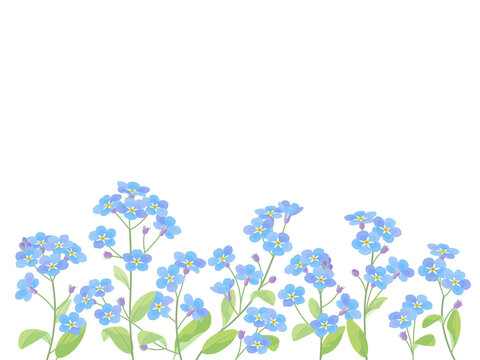 忘れな草 Images Browse 413 Stock Photos Vectors And Video Adobe Stock