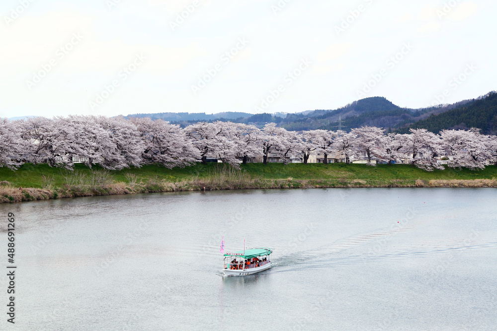 Sticker 宮城県　白石川堤一目千本桜