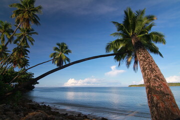 Fototapeta na wymiar Fiji Beach
