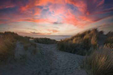 Late afternoon on an Oregon coast beach