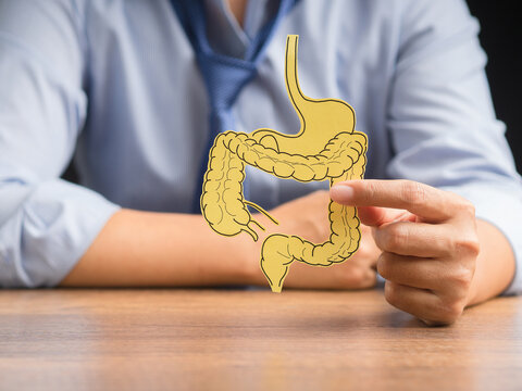 Hand holding a large intestine shape made from yellow paper