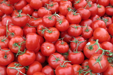 juicy red tomatoes at the market