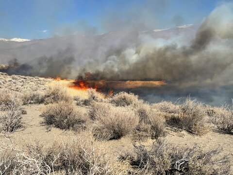 Airport Fire In Owens Valley, Inyo County, California