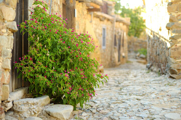 Street of the ancient village Phicardou (Fikardou), Cyprus. This beautiful village declared Ancient...