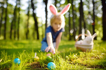 Little boy wearing bunny ears costume hunting for eggs in spring garden on Easter day. Traditional...