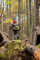 Little boy scout during hiking in autumn forest. Behind the child is teepee hut. Adventure, scouting and hiking tourism for kids.