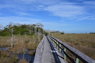 Boardwalk at Pa Hay Okee in Everglades National Park, Florida overlooking expansive sawgrass prairie and wetlands.
