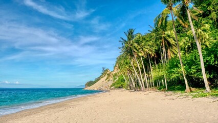 Obraz na płótnie Canvas A beautiful undeveloped beach lined with coconut palm trees and a calm blue sea in Occidental Mindoro province in the Philippines.