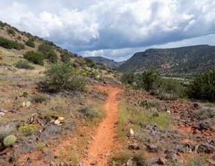 Narrow dirt hiking trail in the desert leading to mountains on a cloudy summer day.