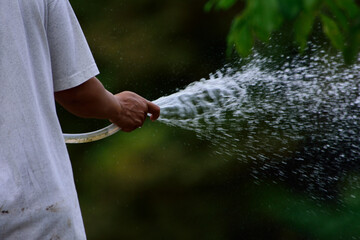 person watering the garden