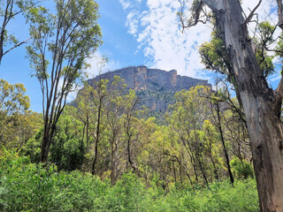 Mountain Scenery in the Australian bush with eucalypt trees near Newnes New South Wales Australia