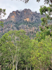 Mountain Scenery in the Australian bush with eucalypt trees near Newnes New South Wales Australia