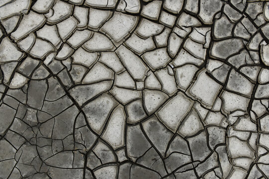 mudflat cracking