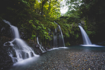 日本の綺麗な水の滝