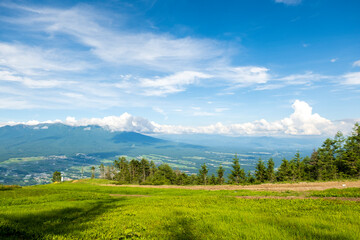 Obraz premium 夏の入笠山から八ヶ岳を望む【長野県諏訪郡富士見町】