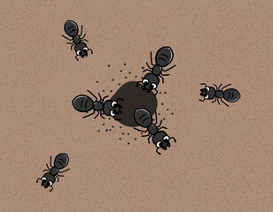 かわいいクロアリとアリの巣