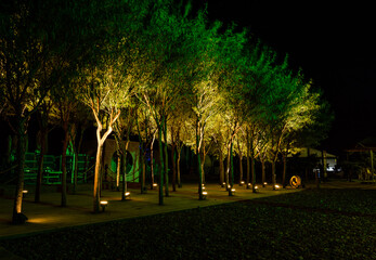 Obraz premium night city park